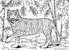 Medio ambiente, animales y paisajes dibujo para colorear e imprimir